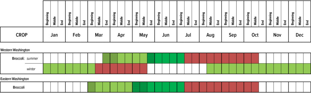 Suggested planting calendar for Broccoli.