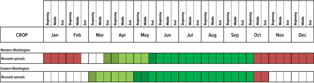 Suggested planting calendar for Brussels sprouts.