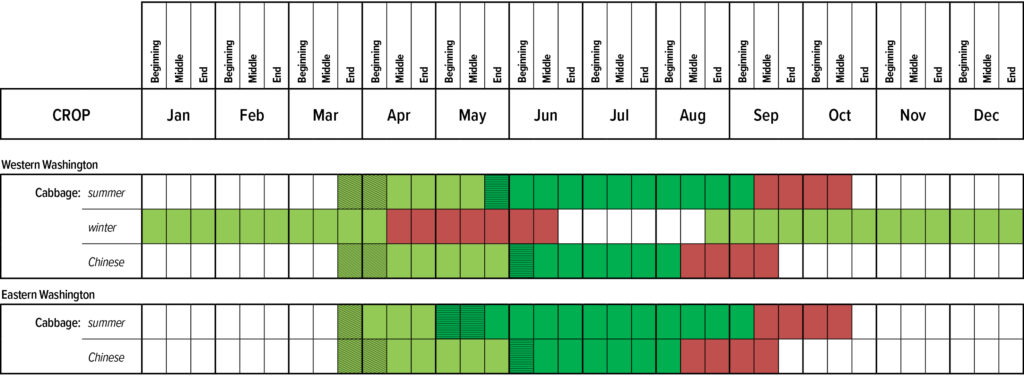 Suggested planting calendar for Cabbage.
