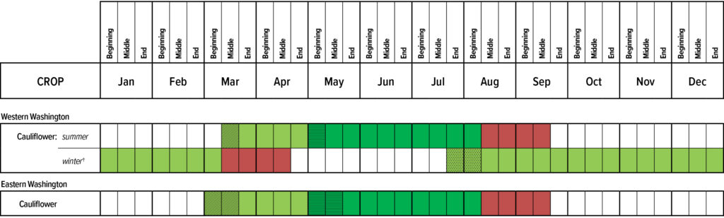 Suggested planting calendar for Cauliflower.