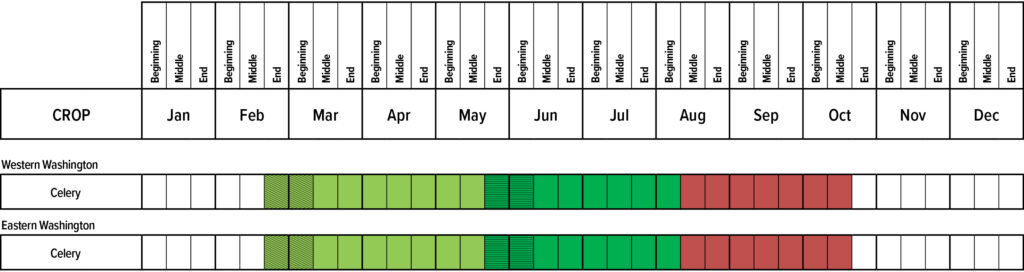 Suggested planting calendar for Celery.