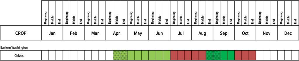 Suggested planting calendar for Chives
