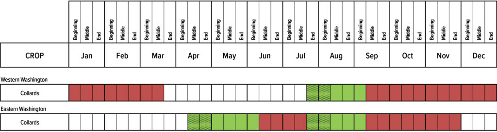 Suggested planting calendar for Collards.
