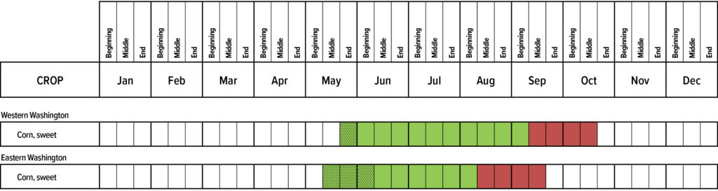Suggested planting calendar for Corn, sweet.
