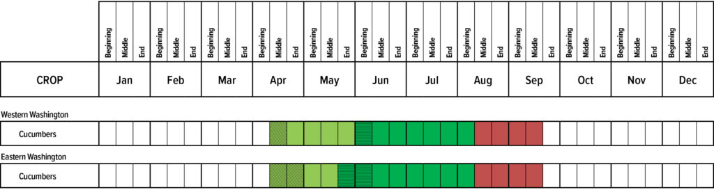 Suggested planting calendar for Cucumbers.
