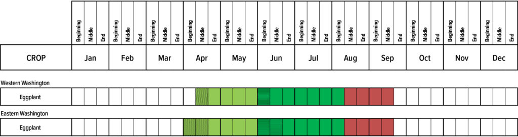 Suggested planting calendar for Eggplant