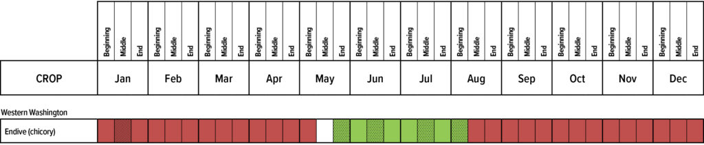 Suggested planting calendar for Endive.