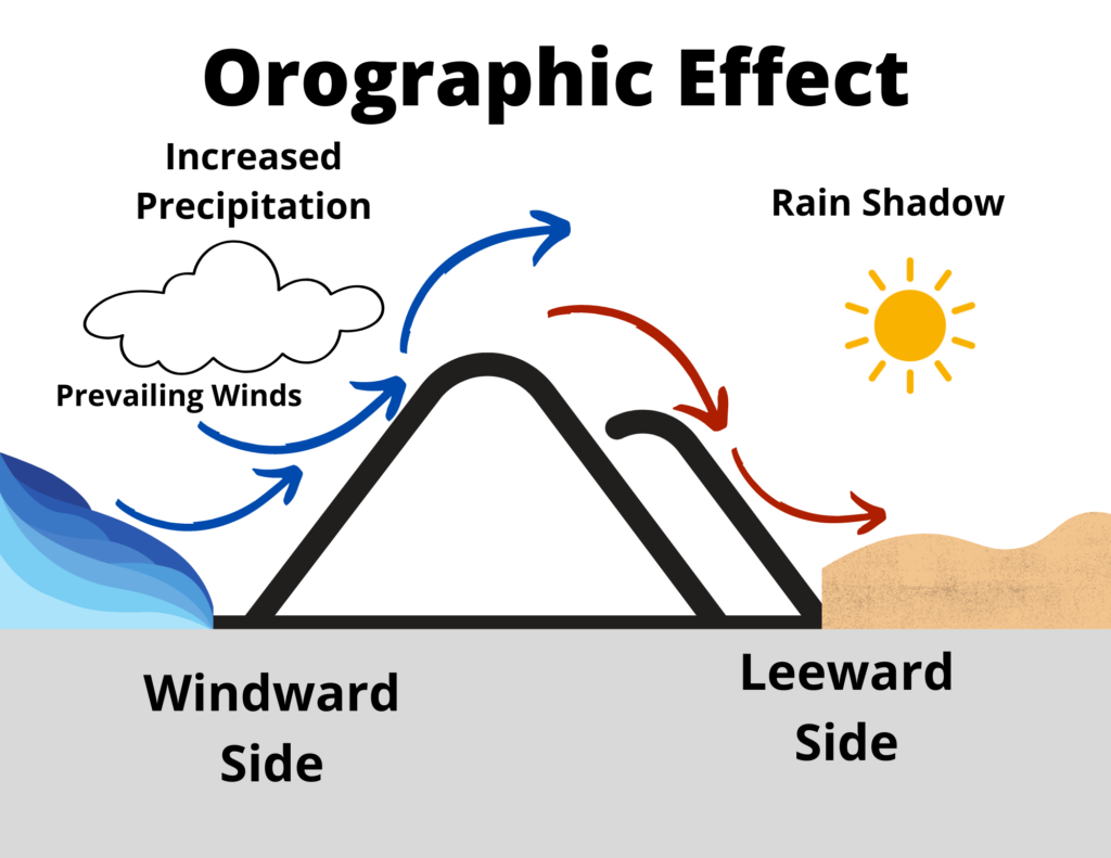 Diagram of the orographic effect showing moist air rising and dry air descending over a mountain.