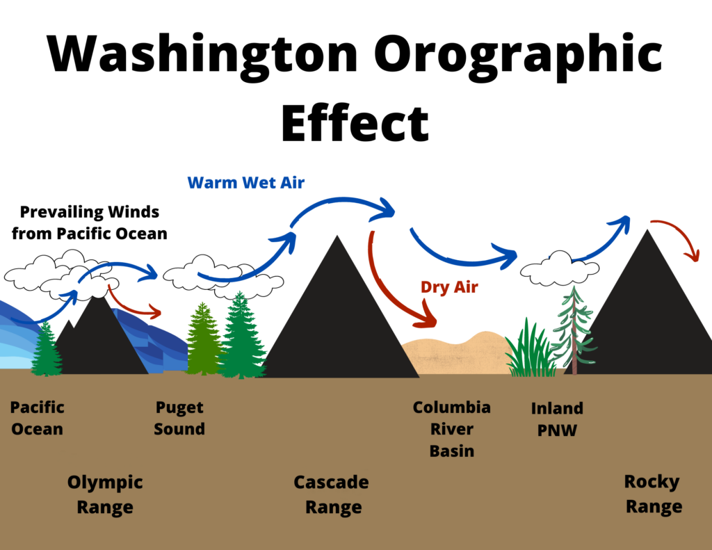 Diagram showing the rain shadow effect across Washington from the Pacific Ocean to the Rocky Mountains.