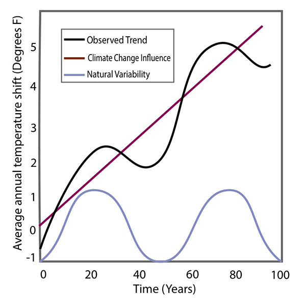 Graph showing rising temperature trend from climate change alongside natural variability cycles.