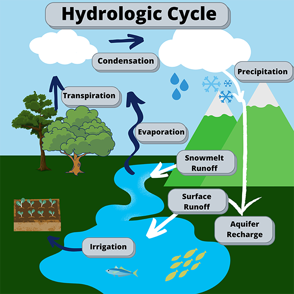 Diagram showing the hydrologic cycle with evaporation, condensation, precipitation, and runoff.
