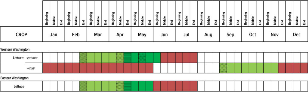 Suggested planting calendar for Lettuce.