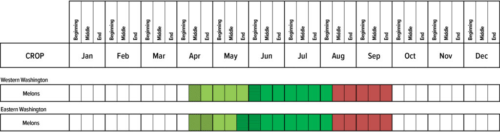 Suggested planting calendar for Melons.