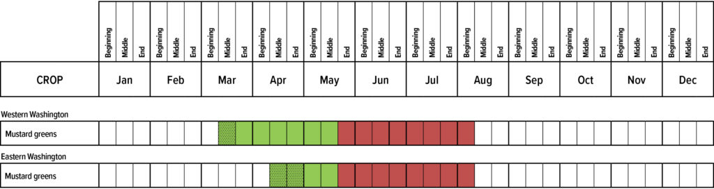 Suggested planting calendar for Mustard Greens.