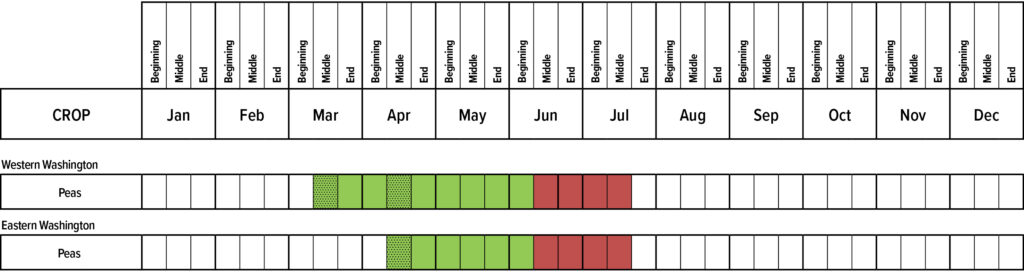 Suggested planting calendar for Peas.