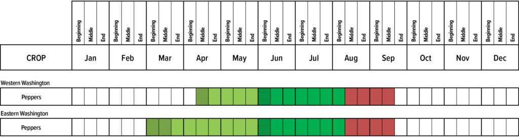 Suggested planting calendar for Peppers.