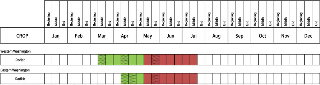 Suggested planting calendar for Radish.
