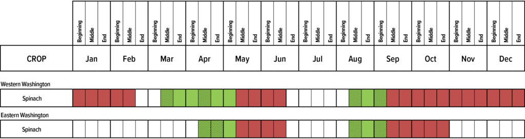 Suggested planting calendar for Spinach.
