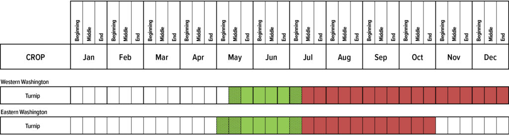 Suggested planting calendar for Turnips.