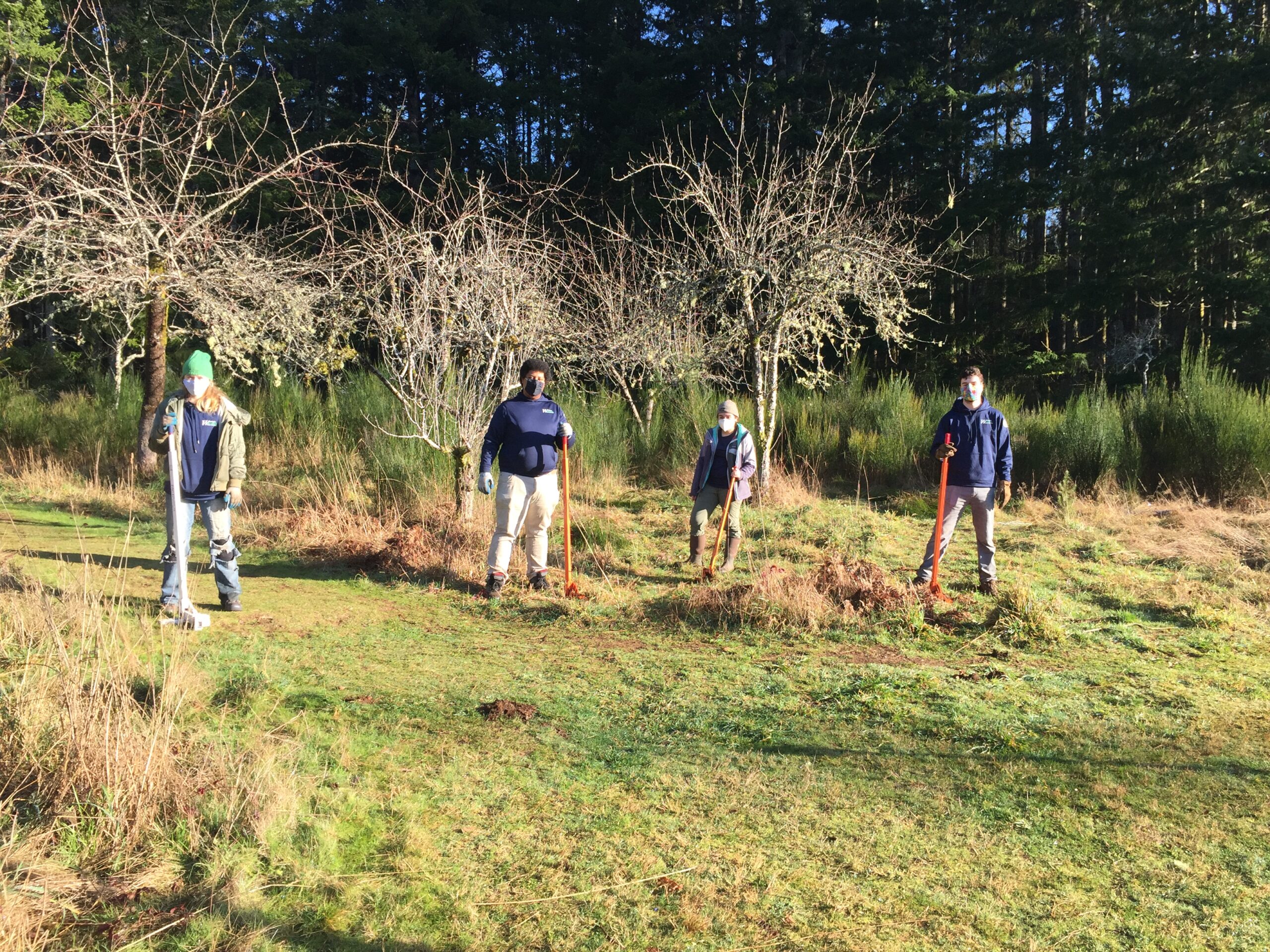 group of people with shovels and gardening tools.