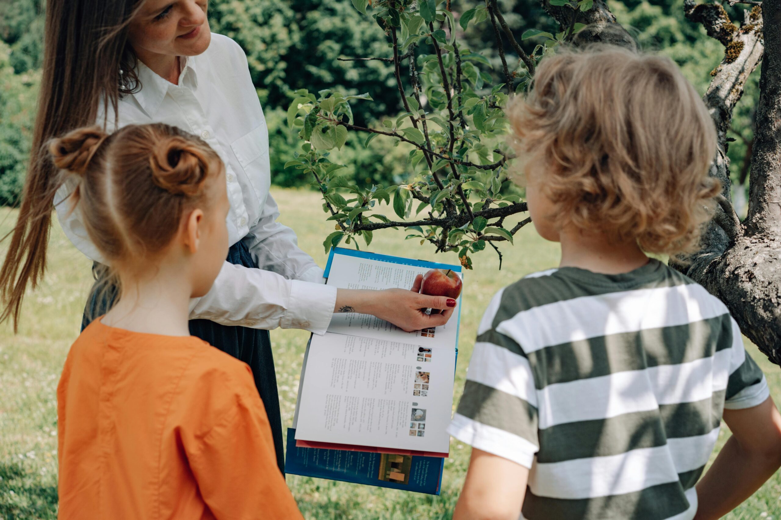 Woman holding textbook and apple next to apple tree, teaching two children.