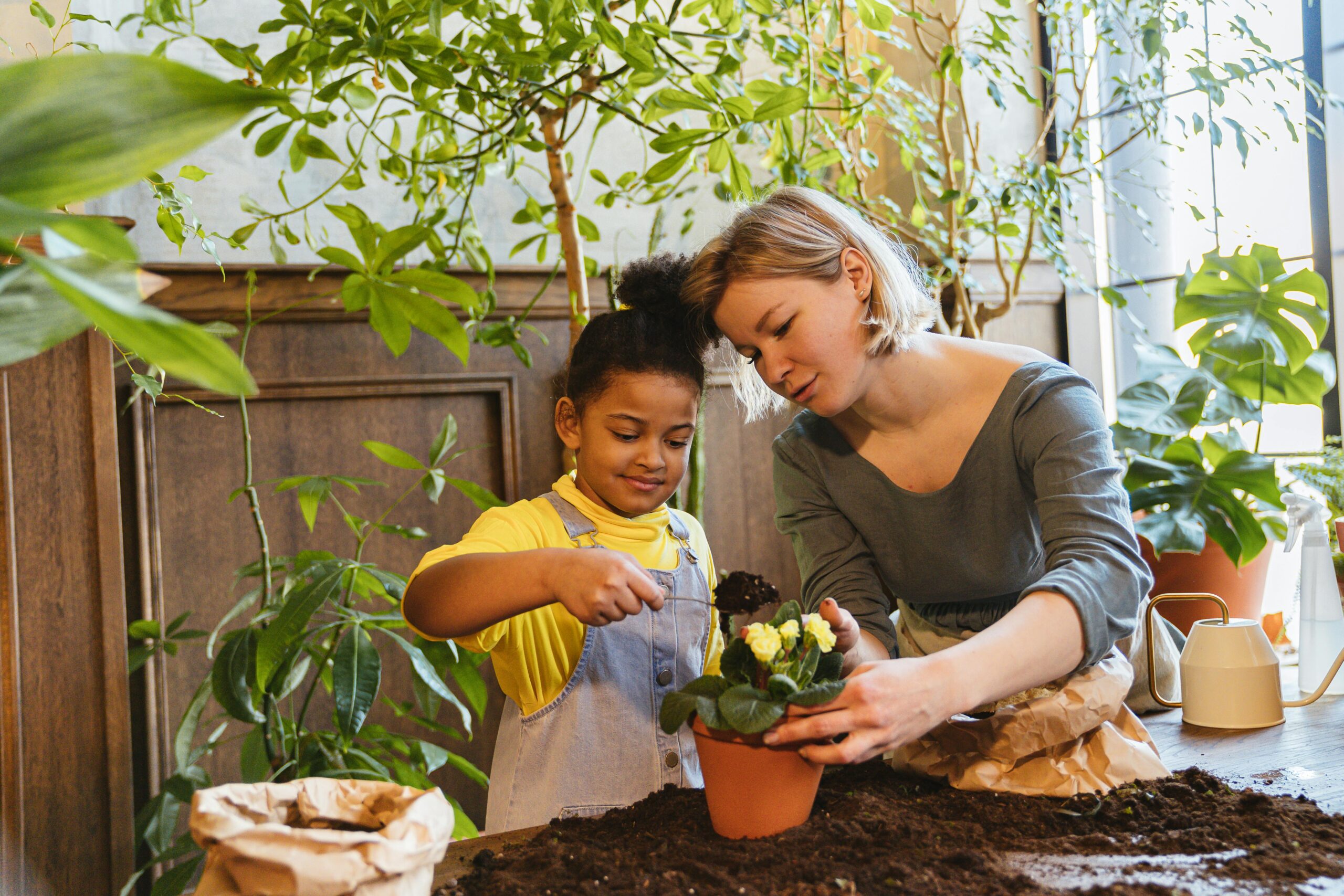Woman teaches child how to plant an African violet.