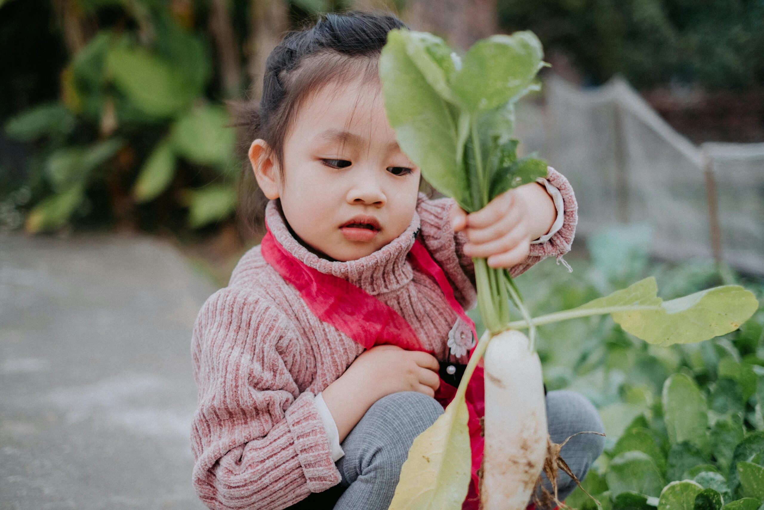 Young child holds up large white radish.