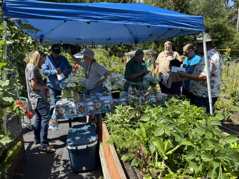 Photo has a group of people standing under large blue canopy that is behind a raised garden bed that is growing with green vegetables.