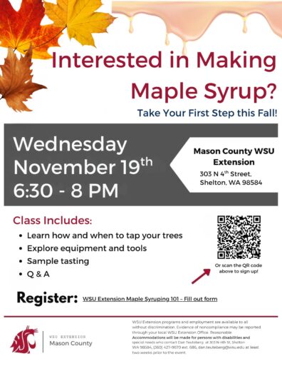 Maple Syrup workshop Flyer