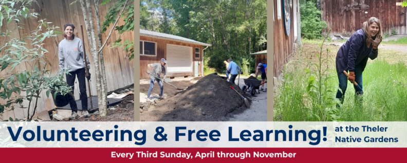 Volunteering and Free Learning! at the Theler Native Gardens. Every Third Sunday, April through November.
