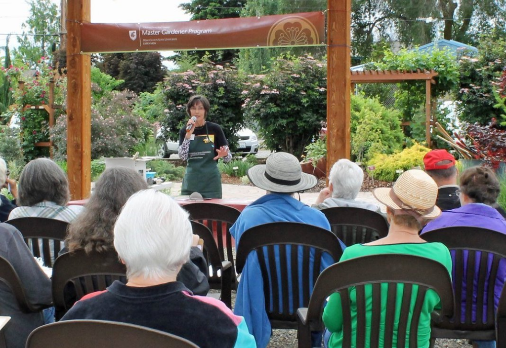 Wood chips in the demo garden
