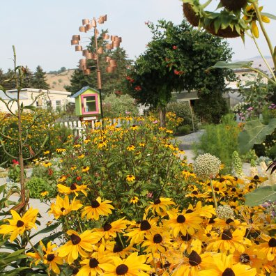 Flower-filled community garden with bright yellow blooms and decorative structures in the background.