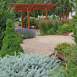 Curved brick walkway leading through a landscaped garden with a wooden pergola and shrubs.