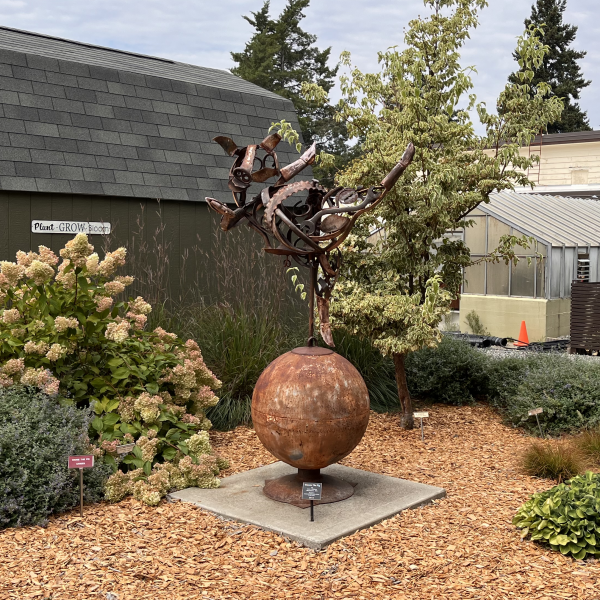 Rust-colored metal garden sculpture with branching shapes displayed among plants and mulch.