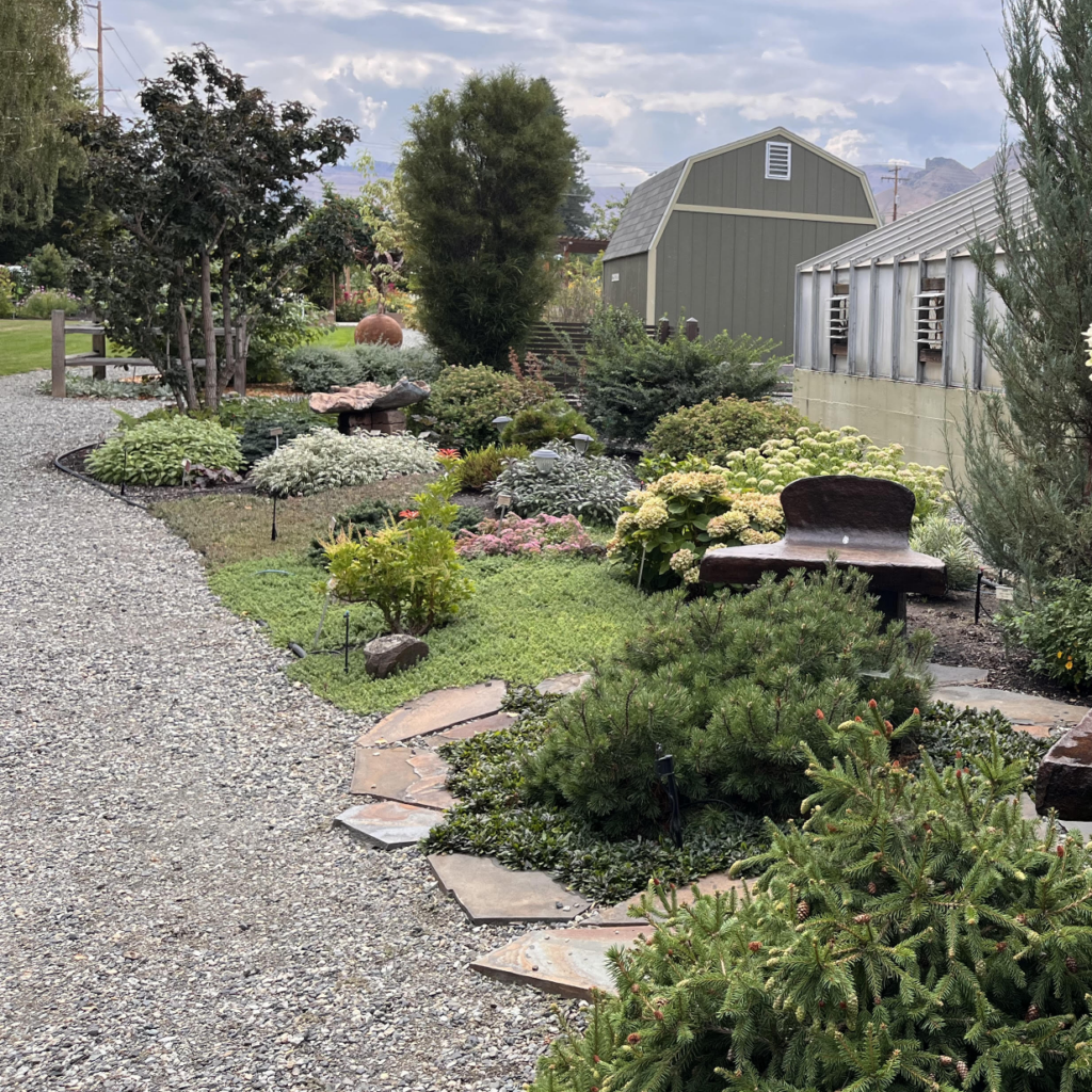 Gravel path beside landscaped garden beds and a greenhouse.