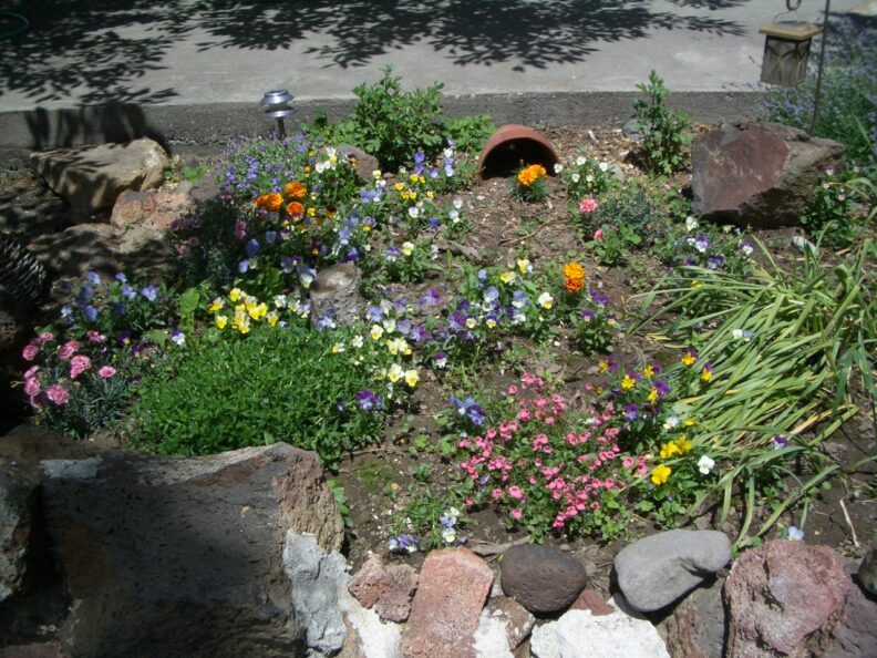 small flower garden