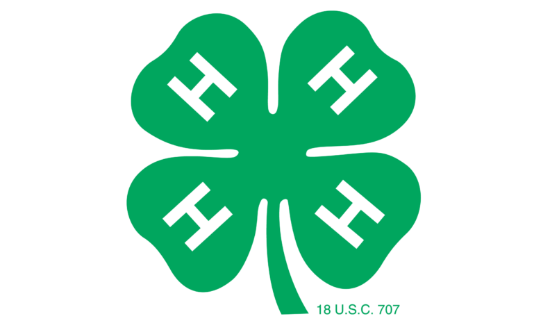Green 4-H clover.