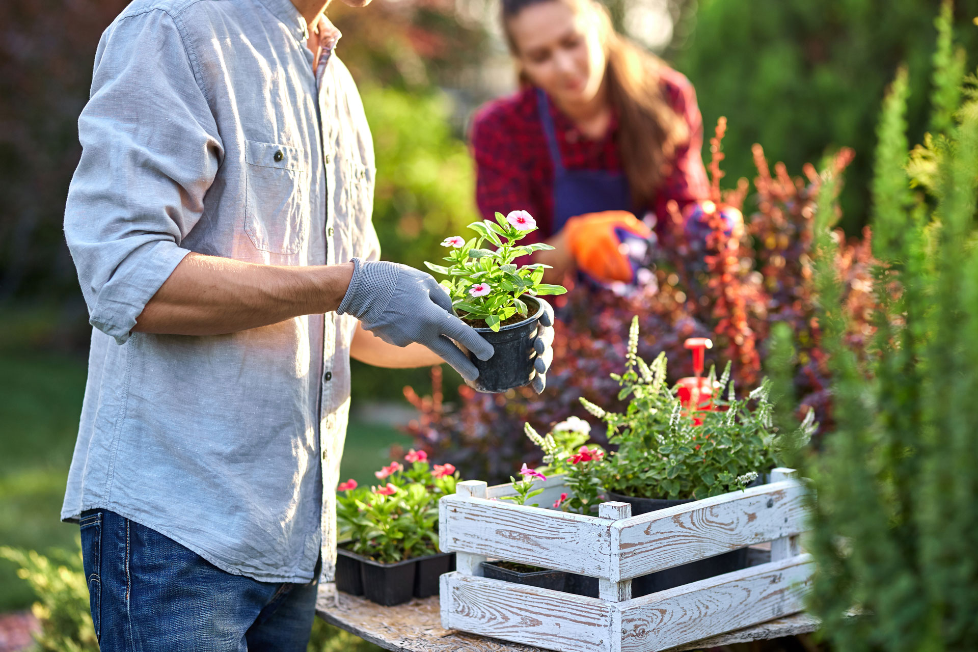 Two people holding flower pots with flowers in them.