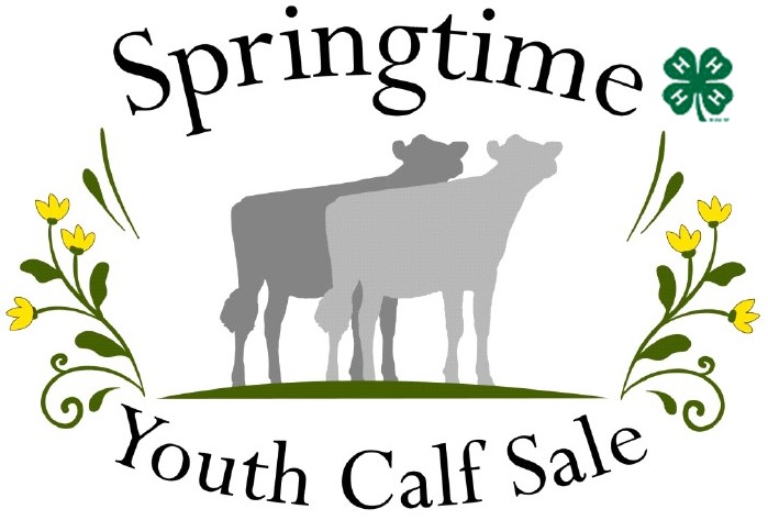 springtime youth calf sale logo