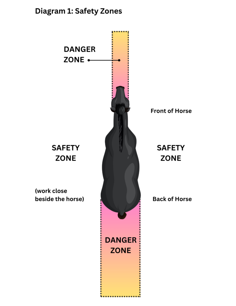 Diagram illustrating areas near a horse in which a person should or should not stand for safety