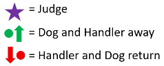 Key defining symbols for the judge (purple star), handler and dog as applies to the down (green circle and arrow) and back (red circle and arrow) gaiting pattern in 4-H dog showmanship.