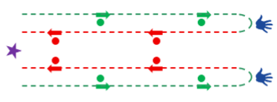 Diagram of a down and back pair gaiting pattern with two handlers and two dogs in 4-H dog showmanship as described.