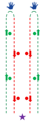 Diagram of a down and back pair gaiting pattern with two handlers and two dogs in 4-H dog showmanship as described.