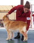 A 4-H member demonstrating how to lift the left rear leg at the hock joint using their right hand to form a straight line from the hock to the ground.