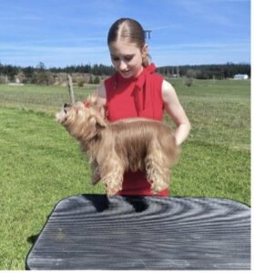 A 4-H member demonstrating how to properly lift a toy breed under the chin and hindquarters to put them on the examination table in 4-H Showmanship.