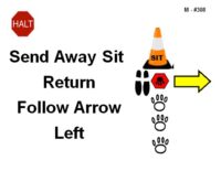 A red octagonal sign labeled “Halt” appears in the upper left. Bold black text reads “Send Away Sit Return Follow Arrow Left.” To the right is an orange traffic cone labeled “SIT” positioned above a small black platform. Below the cone are black footprint shapes and a red hexagonal marker with a paw print. A vertical trail of black paw prints continues downward. A yellow arrow outlined in black points horizontally to the left, indicating the direction to follow.
