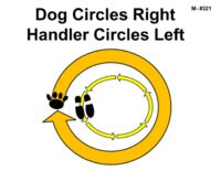 Bold black text reads “Dog Circles Right Handler Circles Left.” A large circular ring formed by thick yellow arrow segments surrounds a smaller inner circle of lighter yellow arrow segments. The outer circle indicates a clockwise path (dog circling right), while the inner circle shows a counterclockwise path (handler circling left). A black paw print marker appears on the outer circle, and a pair of black footprint shapes appears on the inner circle, showing the separate but simultaneous movement paths.