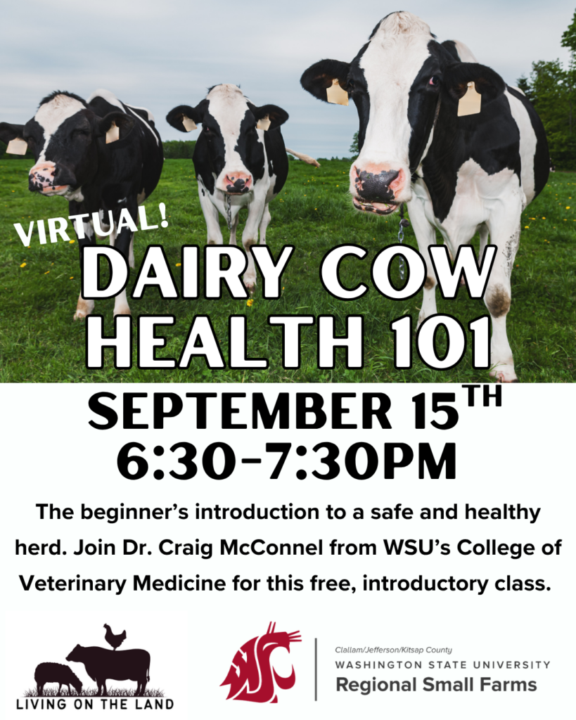 Flyer for a virtual program titled “Dairy Cow Health 101.” The flyer features three dairy cows in a pasture and promotes a free introductory class on maintaining a safe and healthy dairy herd. Event details: September 15, 6:30 to 7:30 PM. The class is presented by Dr. Craig McConnel from Washington State University’s College of Veterinary Medicine. Logos for Living on the Land and Washington State University Regional Small Farms appear at the bottom.
