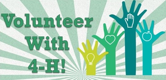 Volunteer with 4-H! logo. 