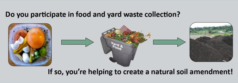 Do you participate in food and yard waste collection? If so, you're helping to create a natural soil amendment! Food scraps then put in the food and yard waste collection become compost.